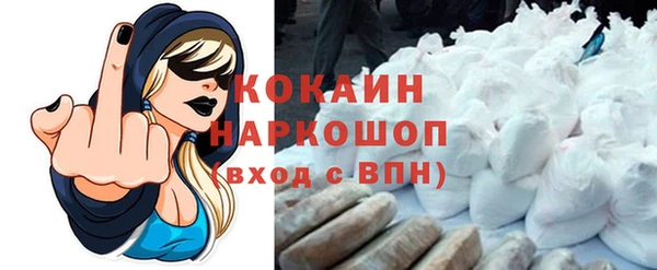 прущие грибы Балабаново