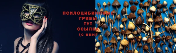 трава Баксан