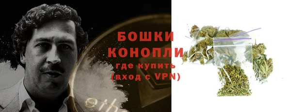 прущие грибы Балабаново