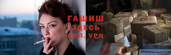 прущие грибы Балабаново