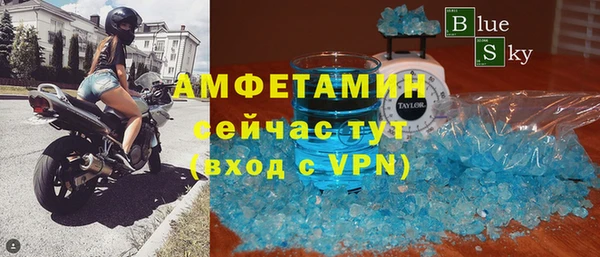 прущие грибы Балабаново