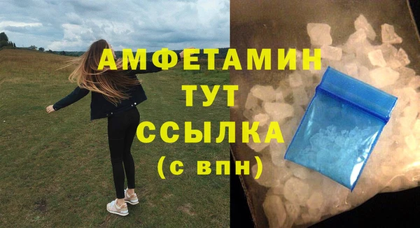 прущие грибы Балабаново