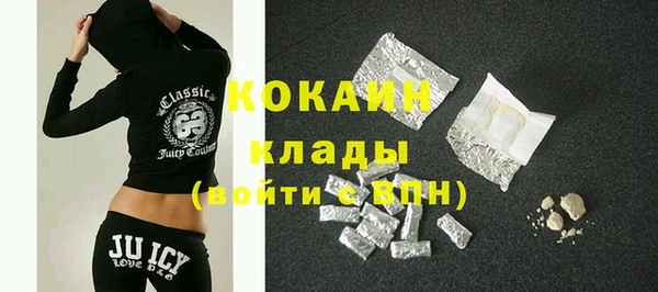 прущие грибы Балабаново