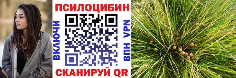Псилоцибиновые грибы Psilocybine cubensis  Валдай 